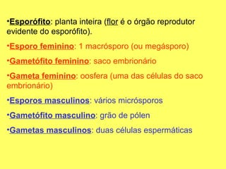 Esporófito : planta inteira ( flor  é o órgão reprodutor evidente do esporófito). Esporo feminino :   1   macrósporo (ou megásporo) Gametófito feminino : saco embrionário Gameta feminino : oosfera (uma das células do saco embrionário) Esporos masculinos : vários micrósporos   Gametófito masculino : grão de pólen Gametas masculinos : duas células espermáticas 