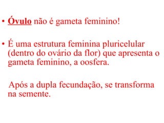 Óvulo  não é gameta feminino!  É uma estrutura feminina pluricelular (dentro do ovário da flor) que apresenta o gameta feminino, a oosfera.  Após a dupla fecundação, se transforma na semente. 