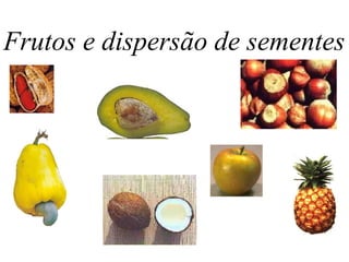 Frutos e dispersão de sementes 