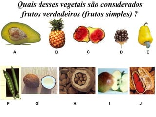 Quais desses vegetais são considerados frutos verdadeiros (frutos simples) ? A B C D E F G H I J 