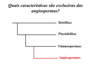 Quais características são exclusivas das angiospermas? 