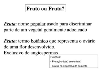 Fruto ou Fruta? Fruta : nome  popular  usado para discriminar parte de um vegetal geralmente adocicado Fruto : termo  botânico  que representa o ovário de uma flor desenvolvido.  Exclusivo de angiospermas Funções : Proteção da(s) semente(s) auxilia na dispersão da semente 