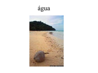 água 