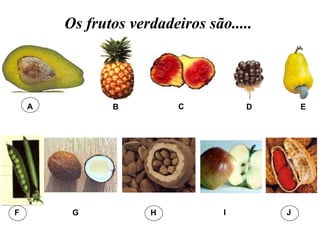 A B C D E F G H I J Os frutos verdadeiros são..... 