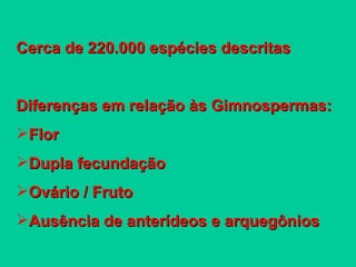 Cerca de 220.000 espécies descritas Diferenças em relação às Gimnospermas: Flor Dupla fecundação  Ovário / Fruto Ausência de anterídeos e arquegônios 