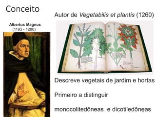Conceito
4
Autor de Vegetabilis et plantis (1260)
Descreve vegetais de jardim e hortas
Primeiro a distinguir
monocolitedôneas e dicotiledôneas
Albertus Magnus
(1193 - 1280)
 
