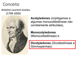 Conceito
5
Antoine-Laurent Jussieu
(1748-1836)
Acotyledones (criptógamas e
algumas monocotiledôneas não
corretamente atribuídas),
Monocotyledones
(Monocotiledôneas) e
Dicotyledones (Dicotiledôneas e
Gimnospermas).
 