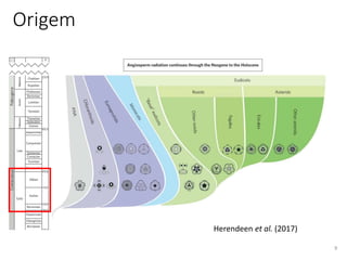 Origem
9
Herendeen et al. (2017)
 