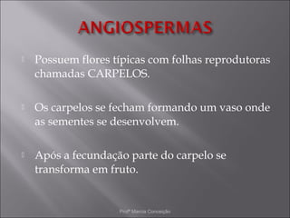   Possuem flores típicas com folhas reprodutoras
    chamadas CARPELOS.

   Os carpelos se fecham formando um vaso onde
    as sementes se desenvolvem.

   Após a fecundação parte do carpelo se
    transforma em fruto.


                    Profª Marcia Conceição
 