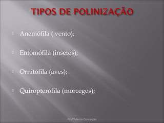    Anemófila ( vento);

   Entomófila (insetos);

   Ornitófila (aves);

   Quiropterófila (morcegos);



                         Profª Marcia Conceição
 