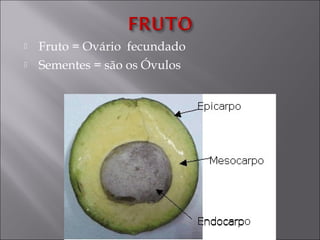    Fruto = Ovário fecundado
   Sementes = são os Óvulos




                   Profª Marcia Conceição
 