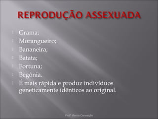    Grama;
   Morangueiro;
   Bananeira;
   Batata;
   Fortuna;
   Begônia.
   É mais rápida e produz indivíduos
    geneticamente idênticos ao original.


                     Profª Marcia Conceição
 