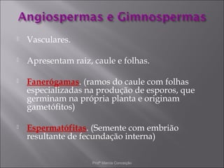    Vasculares.

   Apresentam raiz, caule e folhas.

   Fanerógamas. (ramos do caule com folhas
    especializadas na produção de esporos, que
    germinam na própria planta e originam
    gametófitos)

   Espermatófitas. (Semente com embrião
    resultante de fecundação interna)

                     Profª Marcia Conceição
 