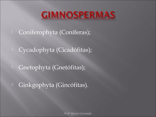    Coniferophyta (Coníferas);

   Cycadophyta (Cicadófitas);

   Gnetophyta (Gnetófitas);

   Ginkgophyta (Gincófitas).



                    Profª Marcia Conceição
 