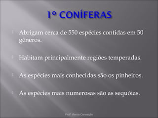    Abrigam cerca de 550 espécies contidas em 50
    gêneros.

   Habitam principalmente regiões temperadas.

   As espécies mais conhecidas são os pinheiros.

   As espécies mais numerosas são as sequóias.


                    Profª Marcia Conceição
 