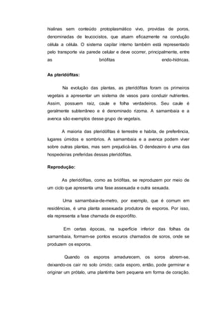 hialinas sem conteúdo protoplasmático vivo, providas de poros,
denominadas de leucocistos, que atuam eficazmente na condução
célula a célula. O sistema capilar interno também está representado
pelo transporte via parede celular e deve ocorrer, principalmente, entre
as briófitas endo-hídricas.
As pteridófitas:
Na evolução das plantas, as pteridófitas foram os primeiros
vegetais a apresentar um sistema de vasos para conduzir nutrientes.
Assim, possuem raiz, caule e folha verdadeiros. Seu caule é
geralmente subterrâneo e é denominado rizoma. A samambaia e a
avenca são exemplos desse grupo de vegetais.
A maioria das pteridófitas é terrestre e habita, de preferência,
lugares úmidos e sombrios. A samambaia e a avenca podem viver
sobre outras plantas, mas sem prejudicá-las. O dendezeiro é uma das
hospedeiras preferidas dessas pteridófitas.
Reprodução:
As pteridófitas, como as briófitas, se reproduzem por meio de
um ciclo que apresenta uma fase assexuada e outra sexuada.
Uma samambaia-de-metro, por exemplo, que é comum em
residências, é uma planta assexuada produtora de esporos. Por isso,
ela representa a fase chamada de esporófito.
Em certas épocas, na superfície inferior das folhas da
samambaia, formam-se pontos escuros chamados de soros, onde se
produzem os esporos.
Quando os esporos amadurecem, os soros abrem-se,
deixando-os cair no solo úmido; cada esporo, então, pode germinar e
originar um prótalo, uma plantinha bem pequena em forma de coração.
 