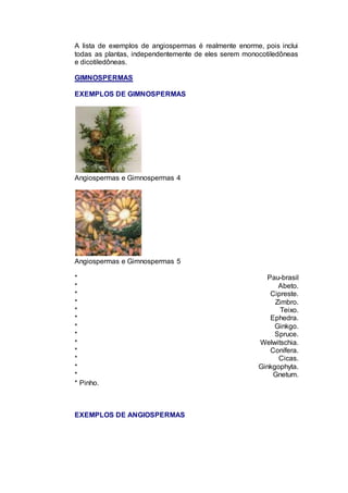 A lista de exemplos de angiospermas é realmente enorme, pois inclui
todas as plantas, independentemente de eles serem monocotiledôneas
e dicotiledôneas.
GIMNOSPERMAS
EXEMPLOS DE GIMNOSPERMAS
Angiospermas e Gimnospermas 4
Angiospermas e Gimnospermas 5
* Pau-brasil
* Abeto.
* Cipreste.
* Zimbro.
* Teixo.
* Ephedra.
* Ginkgo.
* Spruce.
* Welwitschia.
* Conífera.
* Cicas.
* Ginkgophyta.
* Gnetum.
* Pinho.
EXEMPLOS DE ANGIOSPERMAS
 