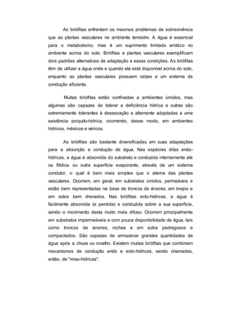 As briófitas enfrentam os mesmos problemas de sobrevivência
que as plantas vasculares no ambiente terrestre. A água é essencial
para o metabolismo, mas é um suprimento limitado errático no
ambiente acima do solo. Briófitas e plantas vasculares exemplificam
dois padrões alternativos de adaptação a essas condições. As briófitas
têm de utilizar a água onde e quando ela está disponível acima do solo,
enquanto as plantas vasculares possuem raízes e um sistema de
condução eficiente.
Muitas briófitas estão confinadas a ambientes úmidos, mas
algumas são capazes de tolerar a deficiência hídrica e outras são
extremamente tolerantes à dessecação e altamente adaptadas a uma
existência poiquilo-hídrica, ocorrendo, desse modo, em ambientes
hídricos, mésicos e xéricos.
As briófitas são bastante diversificadas em suas adaptações
para a absorção e condução de água. Nas espécies ditas endo-
hídricas, a água é absorvida do substrato e conduzida internamente até
os filídios ou outra superfície evaporante, através de um sistema
condutor, o qual é bem mais simples que o xilema das plantas
vasculares. Ocorrem, em geral, em substratos úmidos, permeáveis e
estão bem representadas na base de troncos de árvores, em brejos e
em solos bem drenados. Nas briófitas ecto-hídricas, a água é
facilmente absorvida (e perdida) e conduzida sobre a sua superfície,
sendo o movimento desta muito mais difuso. Ocorrem principalmente
em substratos impermeáveis e com pouca disponibilidade de água, tais
como troncos de árvores, rochas e em solos pedregosos e
compactados. São capazes de armazenar grandes quantidades de
água após a chuva ou orvalho. Existem muitas briófitas que combinam
mecanismos de condução endo e ecto-hídricos, sendo chamadas,
então, de "mixo-hídricas".
 