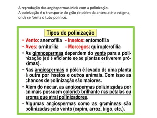 A reprodução das angiospermas inicia com a polinização.
A polinização é o transporte do grão de pólen da antera até o estigma,
onde se forma o tubo polínico.
 