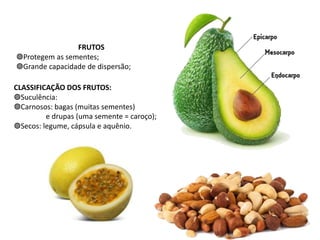 FRUTOS
◍Protegem as sementes;
◍Grande capacidade de dispersão;
CLASSIFICAÇÃO DOS FRUTOS:
◍Suculência:
◍Carnosos: bagas (muitas sementes)
e drupas (uma semente = caroço);
◍Secos: legume, cápsula e aquênio.
 