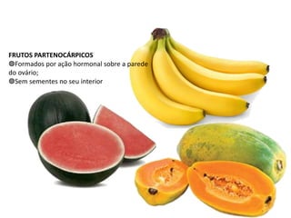 FRUTOS PARTENOCÁRPICOS
◍Formados por ação hormonal sobre a parede
do ovário;
◍Sem sementes no seu interior
 