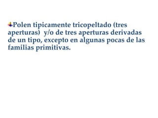 Polen tipicamente tricopeltado (tres aperturas)  y/o de tres aperturas derivadas de un tipo, excepto en algunas pocas de las familias primitivas. 