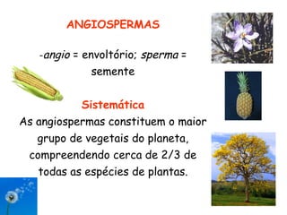 ANGIOSPERMAS

   -angio = envoltório;   sperma =
             semente


           Sistemática
As angiospermas constituem o maior
   grupo de vegetais do planeta,
 compreendendo cerca de 2/3 de
   todas as espécies de plantas.
 