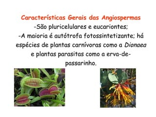 Características Gerais das Angiospermas
      -São pluricelulares e eucariontes;
 -A maioria é autótrofa fotossintetizante; há
espécies de plantas carnívoras como a Dionaea
     e plantas parasitas como a erva-de-
                  passarinho.
 