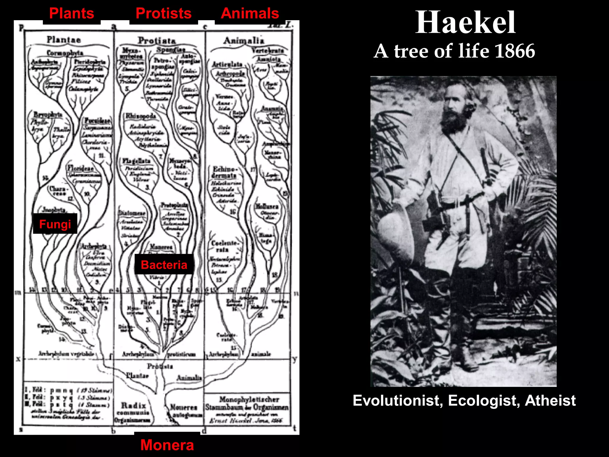 EHaekel
A tree of life 1866
Plants Protists Animals
Monera
Fungi
Plants
Bacteria
Evolutionist, Ecologist, Atheist
 