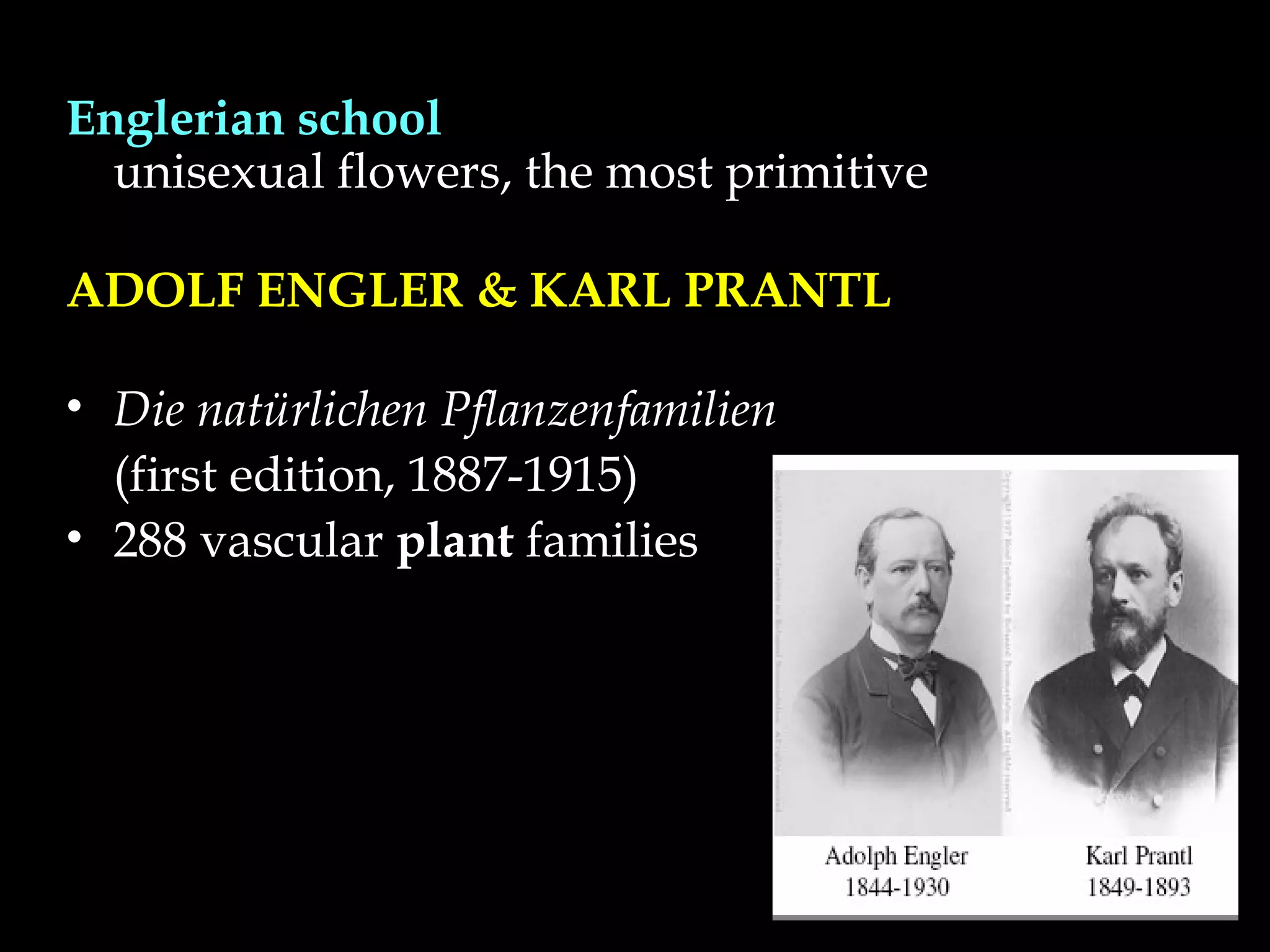 Englerian school
unisexual flowers, the most primitive
ADOLF ENGLER & KARL PRANTL
• Die natürlichen Pflanzenfamilien
(first edition, 1887-1915)
• 288 vascular plant families
 