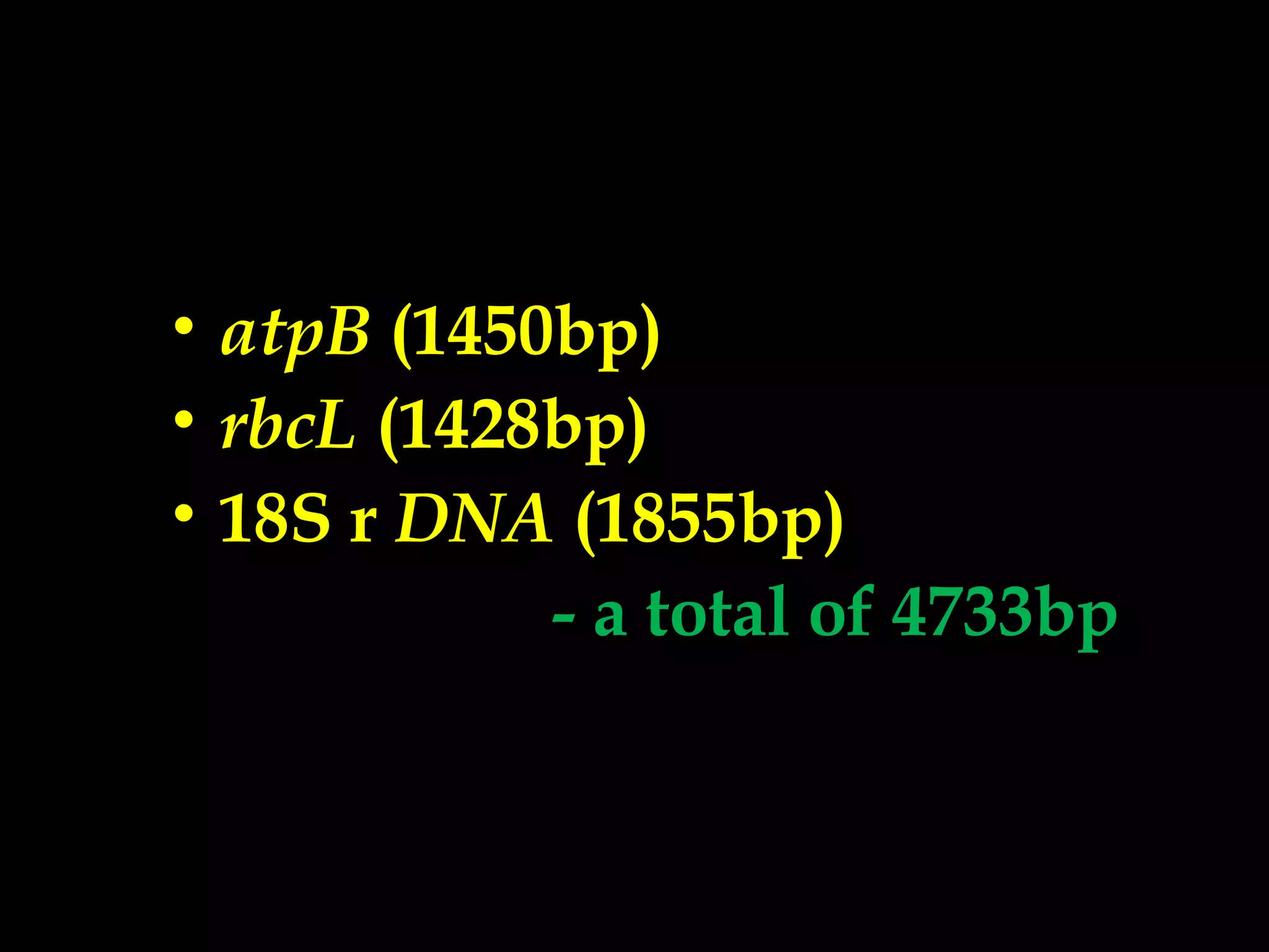 • atpB (1450bp)
• rbcL (1428bp)
• 18S r DNA (1855bp)
- a total of 4733bp
 