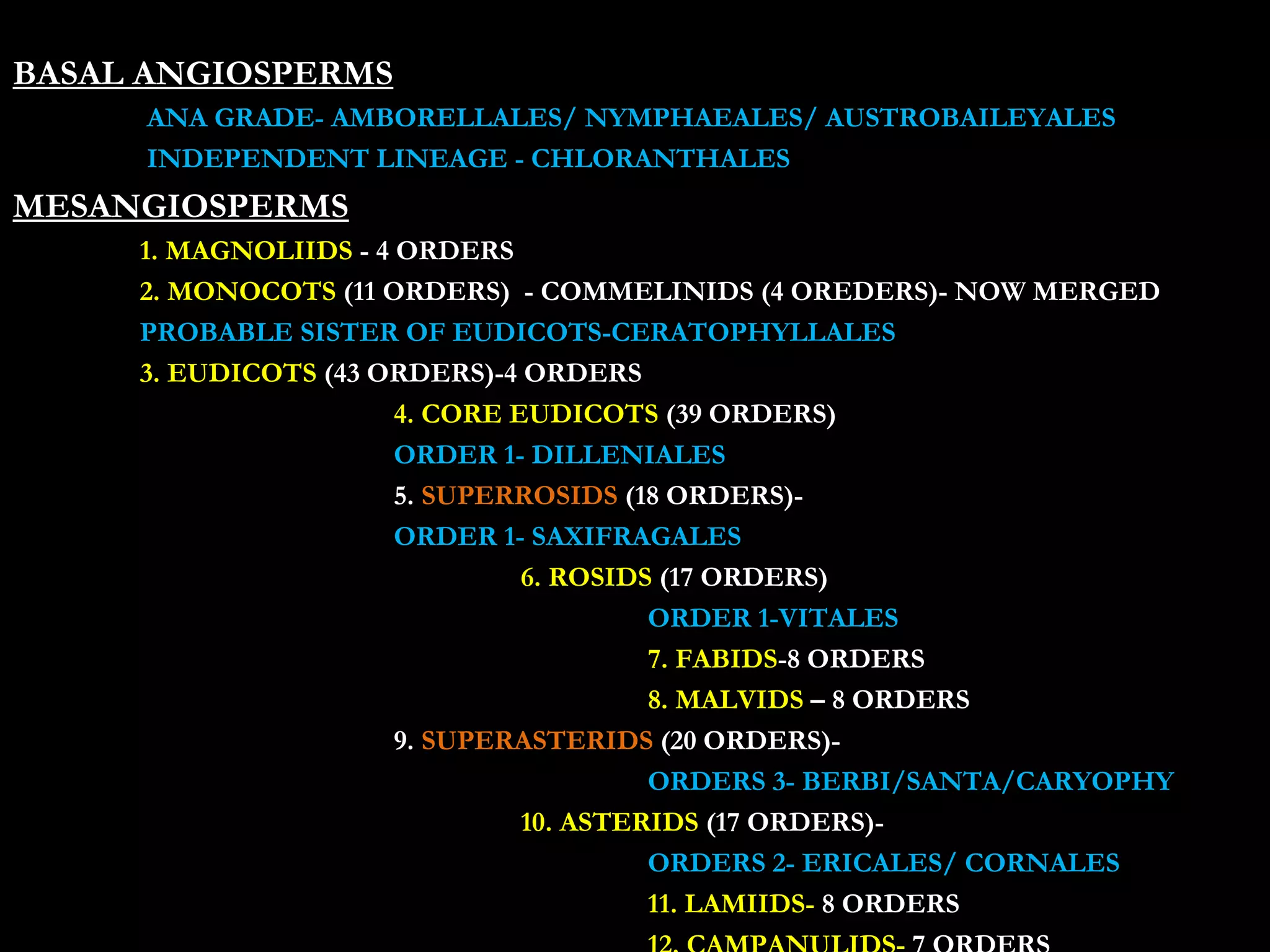 BASAL ANGIOSPERMS
ANA GRADE- AMBORELLALES/ NYMPHAEALES/ AUSTROBAILEYALES
INDEPENDENT LINEAGE - CHLORANTHALES
MESANGIOSPERMS
1. MAGNOLIIDS - 4 ORDERS
2. MONOCOTS (11 ORDERS) - COMMELINIDS (4 OREDERS)- NOW MERGED
PROBABLE SISTER OF EUDICOTS-CERATOPHYLLALES
3. EUDICOTS (43 ORDERS)-4 ORDERS
4. CORE EUDICOTS (39 ORDERS)
ORDER 1- DILLENIALES
5. SUPERROSIDS (18 ORDERS)-
ORDER 1- SAXIFRAGALES
6. ROSIDS (17 ORDERS)
ORDER 1-VITALES
7. FABIDS-8 ORDERS
8. MALVIDS – 8 ORDERS
9. SUPERASTERIDS (20 ORDERS)-
ORDERS 3- BERBI/SANTA/CARYOPHY
10. ASTERIDS (17 ORDERS)-
ORDERS 2- ERICALES/ CORNALES
11. LAMIIDS- 8 ORDERS
 