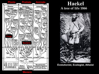 EHaekel
A tree of life 1866
Plants Protists Animals
Monera
Fungi
Plants
Bacteria
Evolutionist, Ecologist, Atheist
 