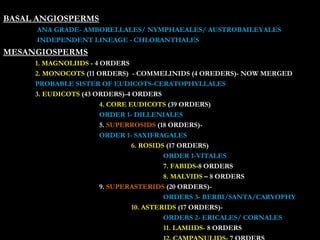 BASAL ANGIOSPERMS
ANA GRADE- AMBORELLALES/ NYMPHAEALES/ AUSTROBAILEYALES
INDEPENDENT LINEAGE - CHLORANTHALES
MESANGIOSPERMS
1. MAGNOLIIDS - 4 ORDERS
2. MONOCOTS (11 ORDERS) - COMMELINIDS (4 OREDERS)- NOW MERGED
PROBABLE SISTER OF EUDICOTS-CERATOPHYLLALES
3. EUDICOTS (43 ORDERS)-4 ORDERS
4. CORE EUDICOTS (39 ORDERS)
ORDER 1- DILLENIALES
5. SUPERROSIDS (18 ORDERS)-
ORDER 1- SAXIFRAGALES
6. ROSIDS (17 ORDERS)
ORDER 1-VITALES
7. FABIDS-8 ORDERS
8. MALVIDS – 8 ORDERS
9. SUPERASTERIDS (20 ORDERS)-
ORDERS 3- BERBI/SANTA/CARYOPHY
10. ASTERIDS (17 ORDERS)-
ORDERS 2- ERICALES/ CORNALES
11. LAMIIDS- 8 ORDERS
 