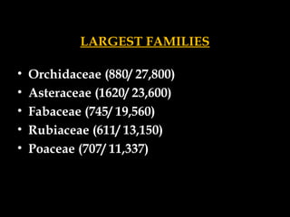 LARGEST FAMILIES
• Orchidaceae (880/ 27,800)
• Asteraceae (1620/ 23,600)
• Fabaceae (745/ 19,560)
• Rubiaceae (611/ 13,150)
• Poaceae (707/ 11,337)
 