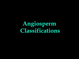 Angiosperm
Classifications
 