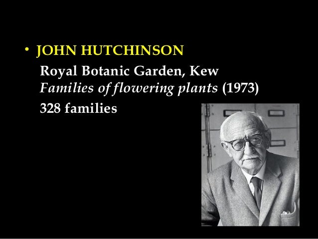 Angiosperm clifications