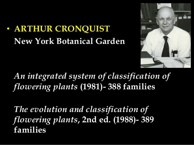 Angiosperm clifications