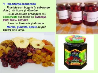  Importanţă economică
Fructele sunt bogate în substanţe
dulci, hrănitoare şi vitamine.
Ele se consumă proaspete sau
conservate sub formă de dulceaţă,
gem, jeleu, compot.
Unele pot fi uscate şi afumate.
Merele, gutuiele, perele se pot
păstra bine iarna.
 