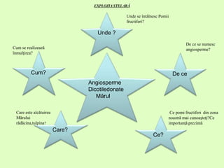 Angiosperme
Dicotiledonate
Mărul
Unde ?
De ce
Ce?
Care?
Cum?
Unde se întâlnesc Pomii
fructiferi?
De ce se numesc
angiosperme?
Ce pomi fructiferi din zona
noastră mai cunoaşteţi?Ce
importanţă prezintă
Care este alcătuirea
Mărului
rădăcina,tulpina?
Cum se realizează
înmulţirea?
EXPLOZIA STELARĂ
 
