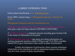 A BRIEF INTRODUCTION
Earlier plant classification ----- Artificial system.
From 1990’s started using --- Phylogentic analysis to classify the
plants.
Phylogenetic character used for Classification are:
Rapidly accumulating DNA sequences from the plastid gene rbc L
(this gene codes for large subunit of RUBISCO ENZYME).
 cp DNA mat K gene ( maturase enzyme encoding gene located with
in the intron of chloroplast trn K gene).
 Mitochondrial gene atp A (atp genes providing information for
making transporter proteins called ATPases) and 18 Sr DNA (satellite
related DNA) gave informative data useful in plant classification
Further development of polymerase chain reaction techniques
which help in bio-chemical as well as anatomical analysis has paved a
way for a new system of plant classification.
 