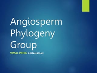 Angiosperm
Phylogeny
Group
VIMAL PRIYA SUBRAMANIAN
 