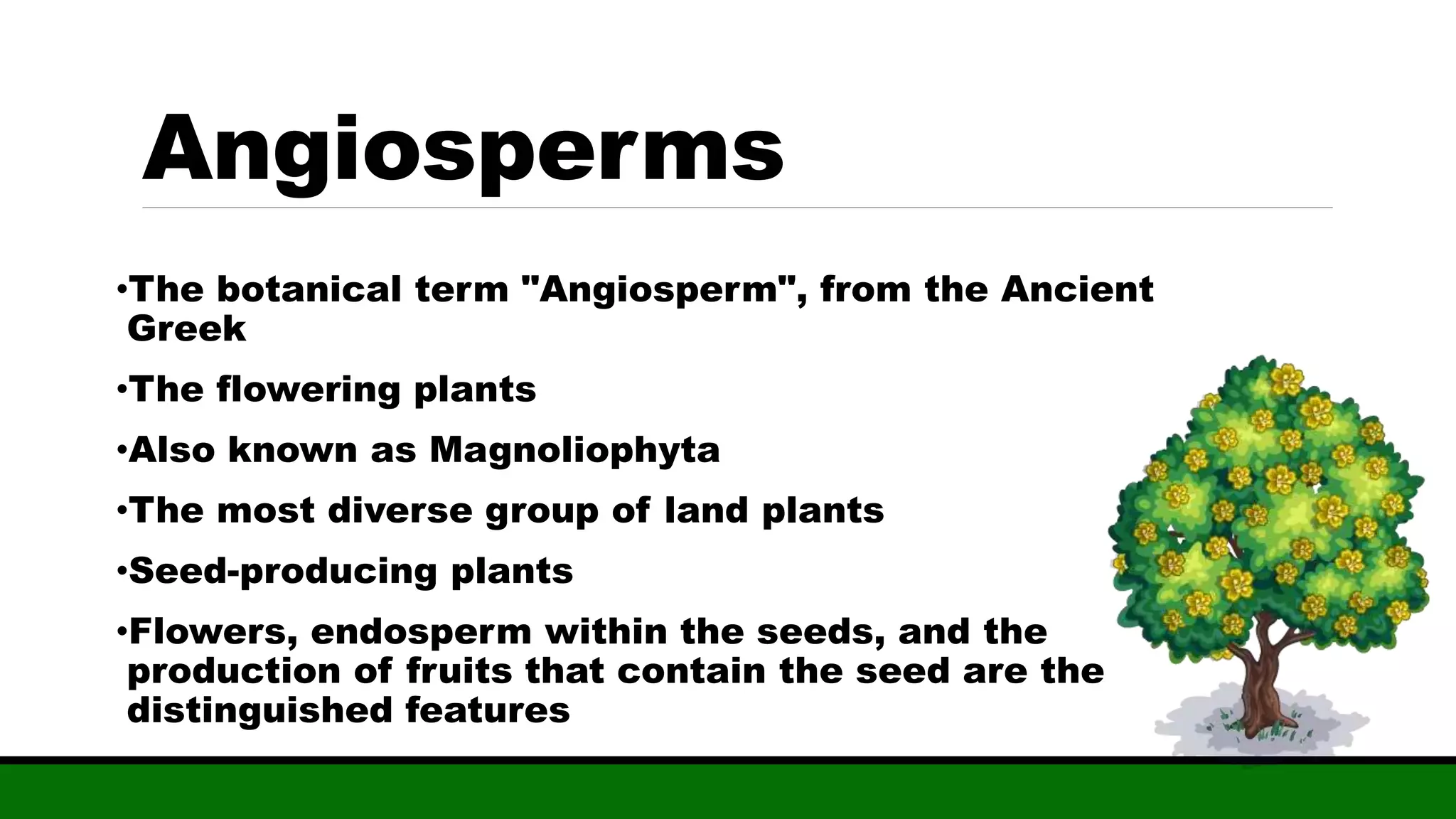 Angiosperm phylogeny grouping I (APG I) | PPTX