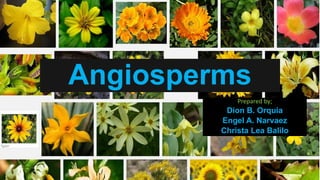 Angiosperms
Prepared by;
Dion B. Orquia
Engel A. Narvaez
Christa Lea Balilo
 