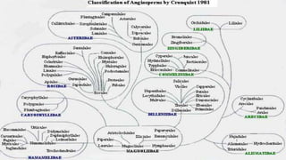 Classification of Angiosperms
 