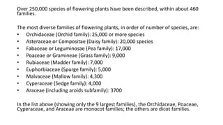 Over 250,000 species of flowering plants have been described, within about 460
families.
The most diverse families of flowering plants, in order of number of species, are:
• Orchidaceae (Orchid family): 25,000 or more species
• Asteraceae or Compositae (Daisy family): 20,000 species
• Fabaceae or Leguminosae (Pea family): 17,000
• Poaceae or Gramineae (Grass family): 9,000
• Rubiaceae (Madder family): 7,000
• Euphorbiaceae (Spurge family): 5,000
• Malvaceae (Mallow family): 4,300
• Cyperaceae (Sedge family): 4,000
• Araceae (including aroids subfamily): 3700
In the list above (showing only the 9 largest families), the Orchidaceae, Poaceae,
Cyperaceae, and Araceae are monocot families; the others are dicot families.
 