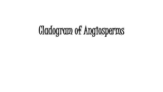 Cladogram of Angiosperms
 