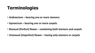 Terminologies
• Androecium – bearing one or more stamens
• Gynoecium – bearing one or more carpels
• Bisexual (Perfect) flower – containing both stamens and carpels
• Unisexual (Imperfect) flower – having only stamens or carpels
 
