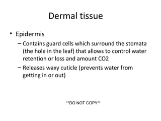 Dermal tissue
• Epidermis
– Contains guard cells which surround the stomata
(the hole in the leaf) that allows to control water
retention or loss and amount CO2
– Releases waxy cuticle (prevents water from
getting in or out)
**DO NOT COPY**
 