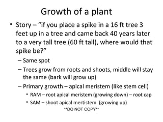 Growth of a plant
• Story – “if you place a spike in a 16 ft tree 3
feet up in a tree and came back 40 years later
to a very tall tree (60 ft tall), where would that
spike be?”
– Same spot
– Trees grow from roots and shoots, middle will stay
the same (bark will grow up)
– Primary growth – apical meristem (like stem cell)
• RAM – root apical meristem (growing down) – root cap
• SAM – shoot apical mertistem (growing up)
**DO NOT COPY**
 